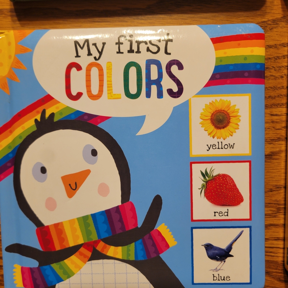 Board Book Set: Colors, Words, Animals & Numbers - Picture 5 of 7